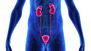 Foto de Francisco Martin