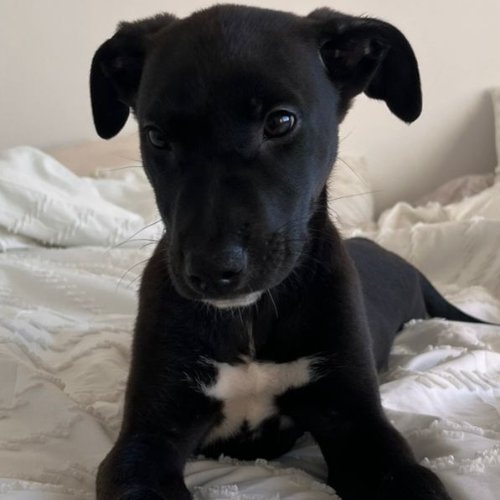 Foto de Abril Alvarez