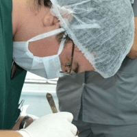 Foto de Gabriel Alberto Norry