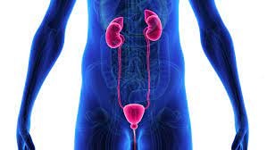 Foto de Francisco MARTIN, Urología